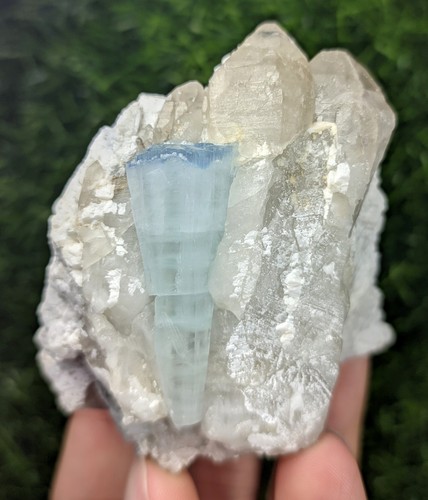 197 alkali cesium - 197-gm, rich